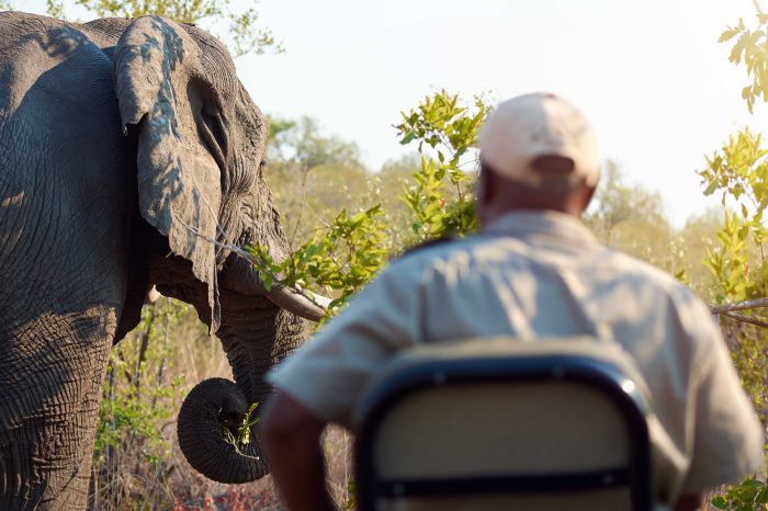 Great Migration & River Crossing in Serengeti 3-day safari
