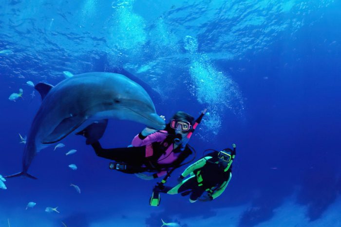 Scuba Diving in Zanzibar