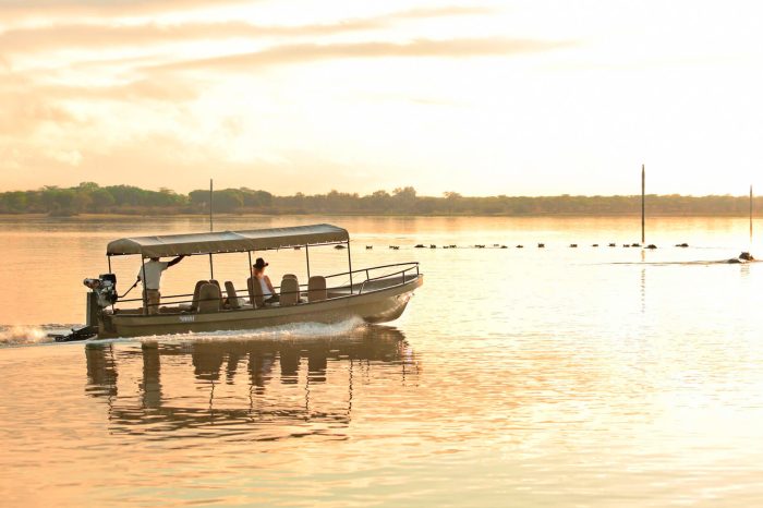 2 Days Nyerere National Park Safari
