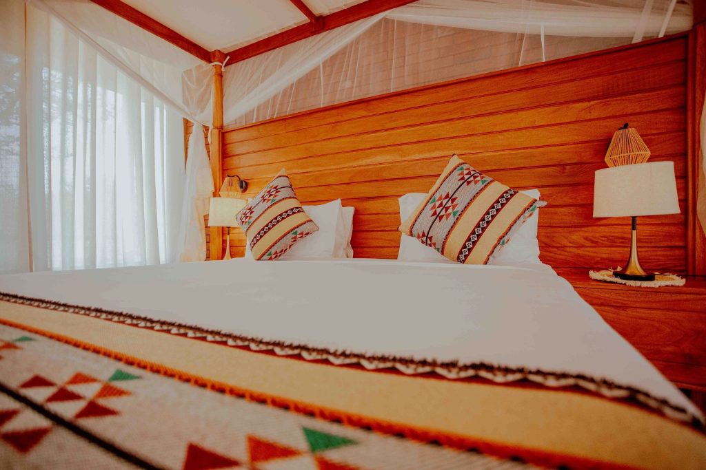 Into Wild Africa Camp1