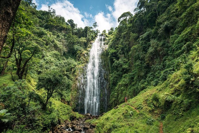 Materuni Waterfalls Day Trip