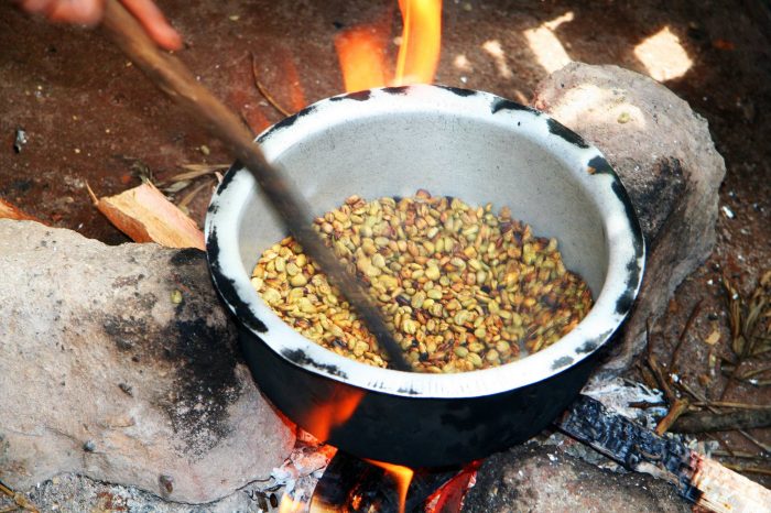 Materuni Waterfalls & Coffee Tour Day Trip