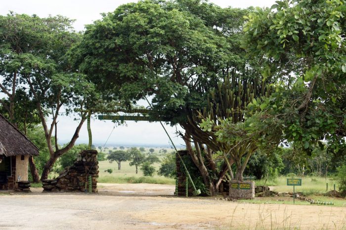 3 Days Safari to Mikumi National Park