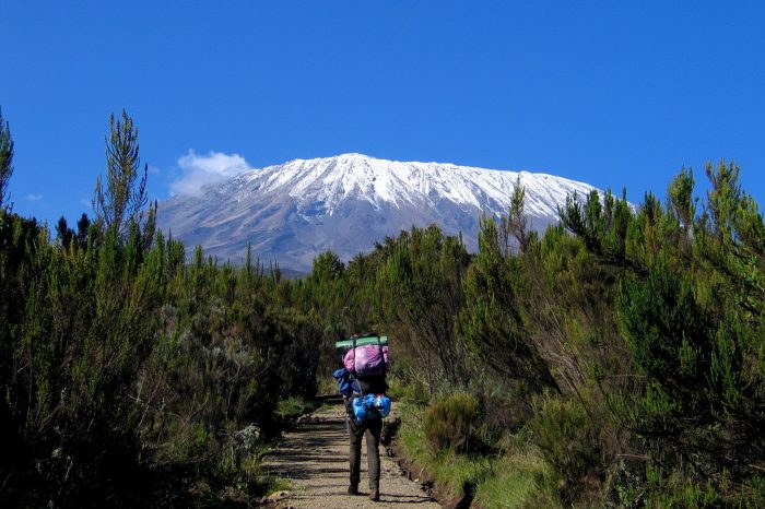 6 Days Kilimanjaro Trek via Rongai Route