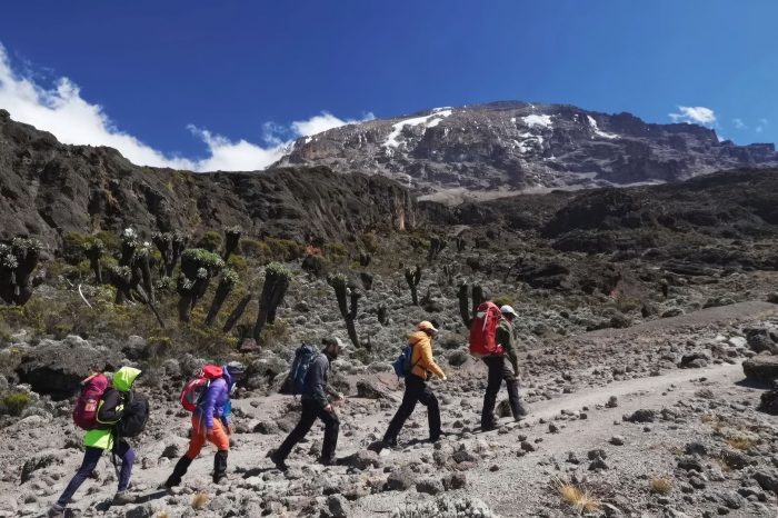8 Days Kilimanjaro Trek via Lemosho Route
