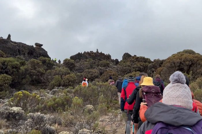 7 Days Kilimanjaro Trek via Machame Route