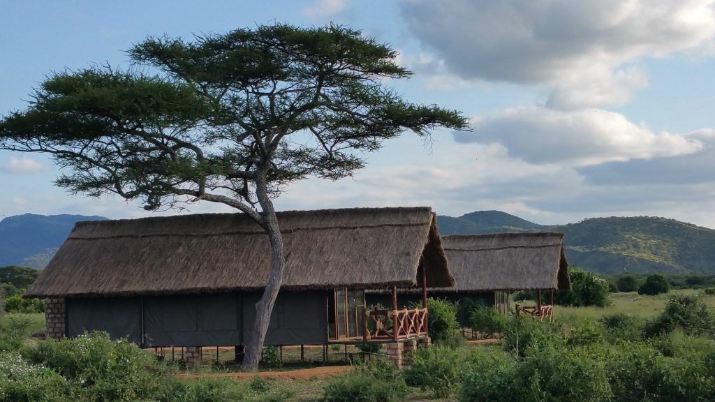 Tarangire Simba Lodge 04