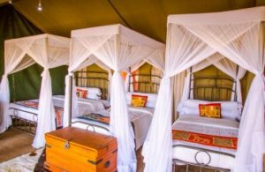 Heritage Mara Camp6