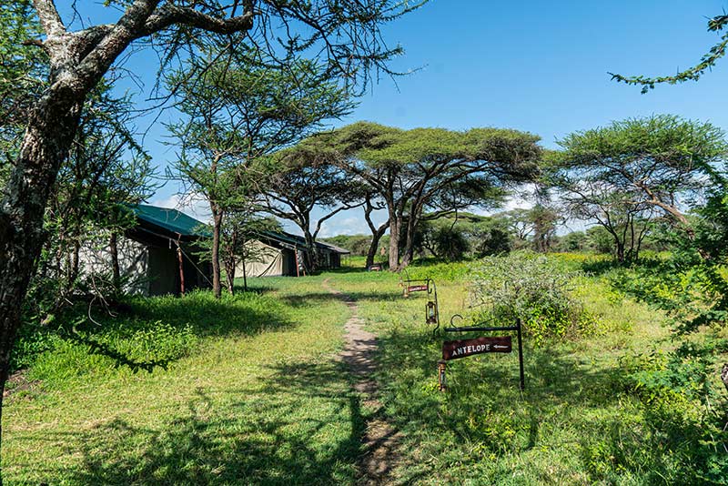 Heritage Mara Camp7