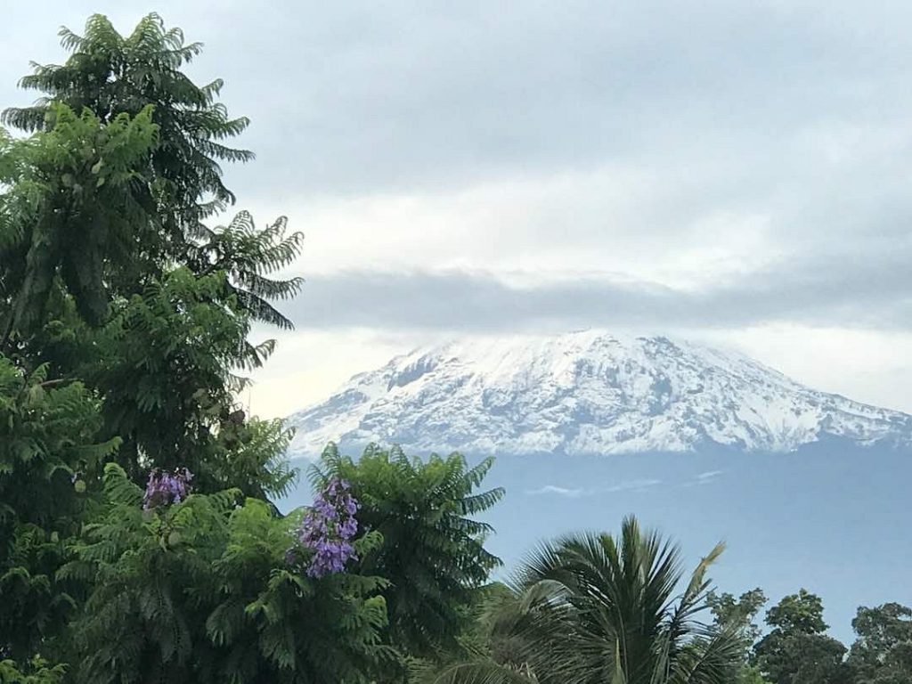 Kilimanjaro Wonders Hotel 01