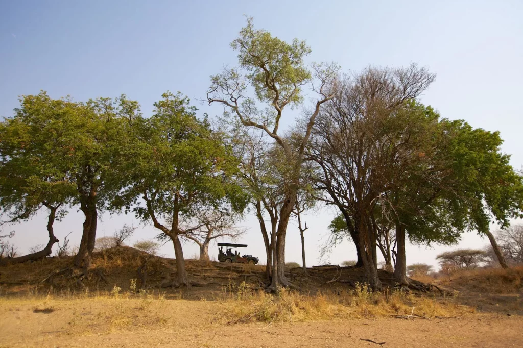 Ruaha River Lodge 02