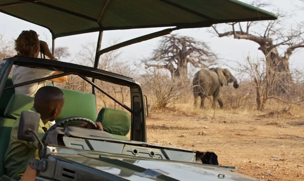 Ruaha River Lodge 04