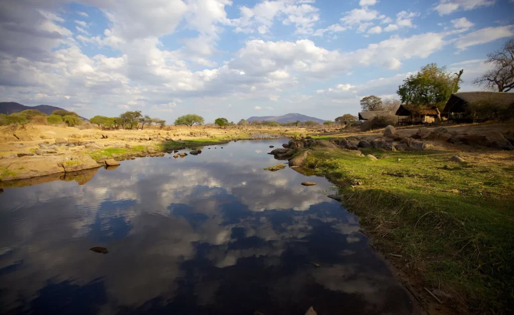 Ruaha River Lodge 05