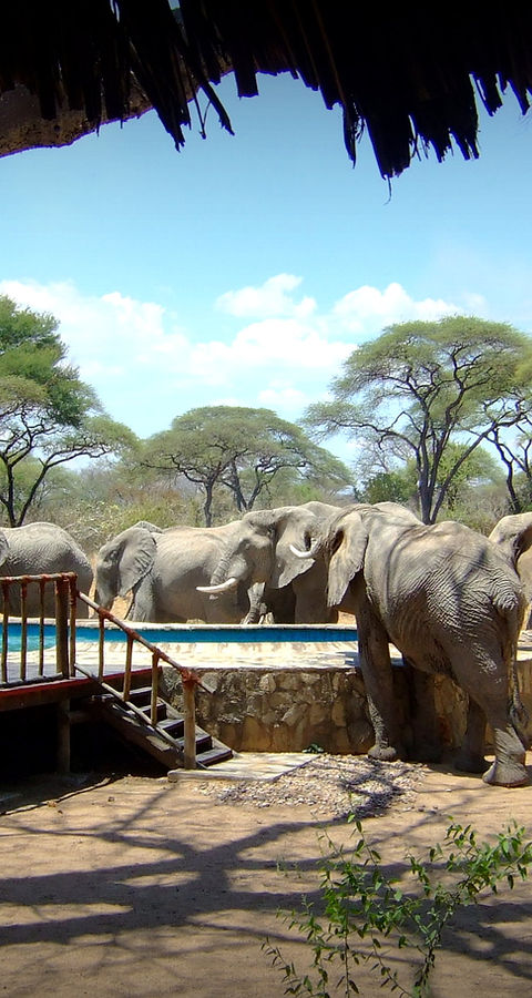 Tandala Tented Camp7